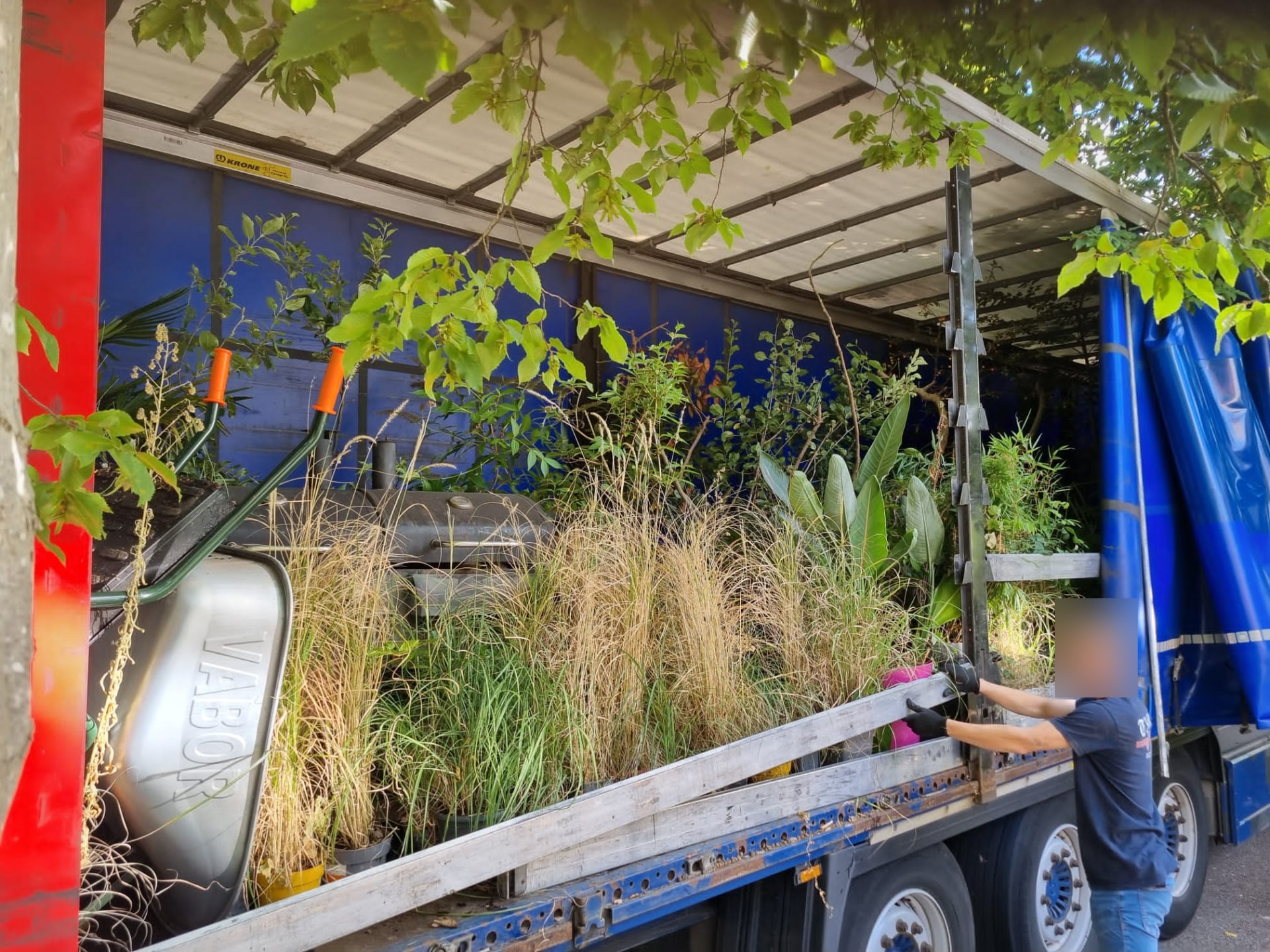 Vrachtwagen vol bomen, grassen en vaste planten wordt gelost